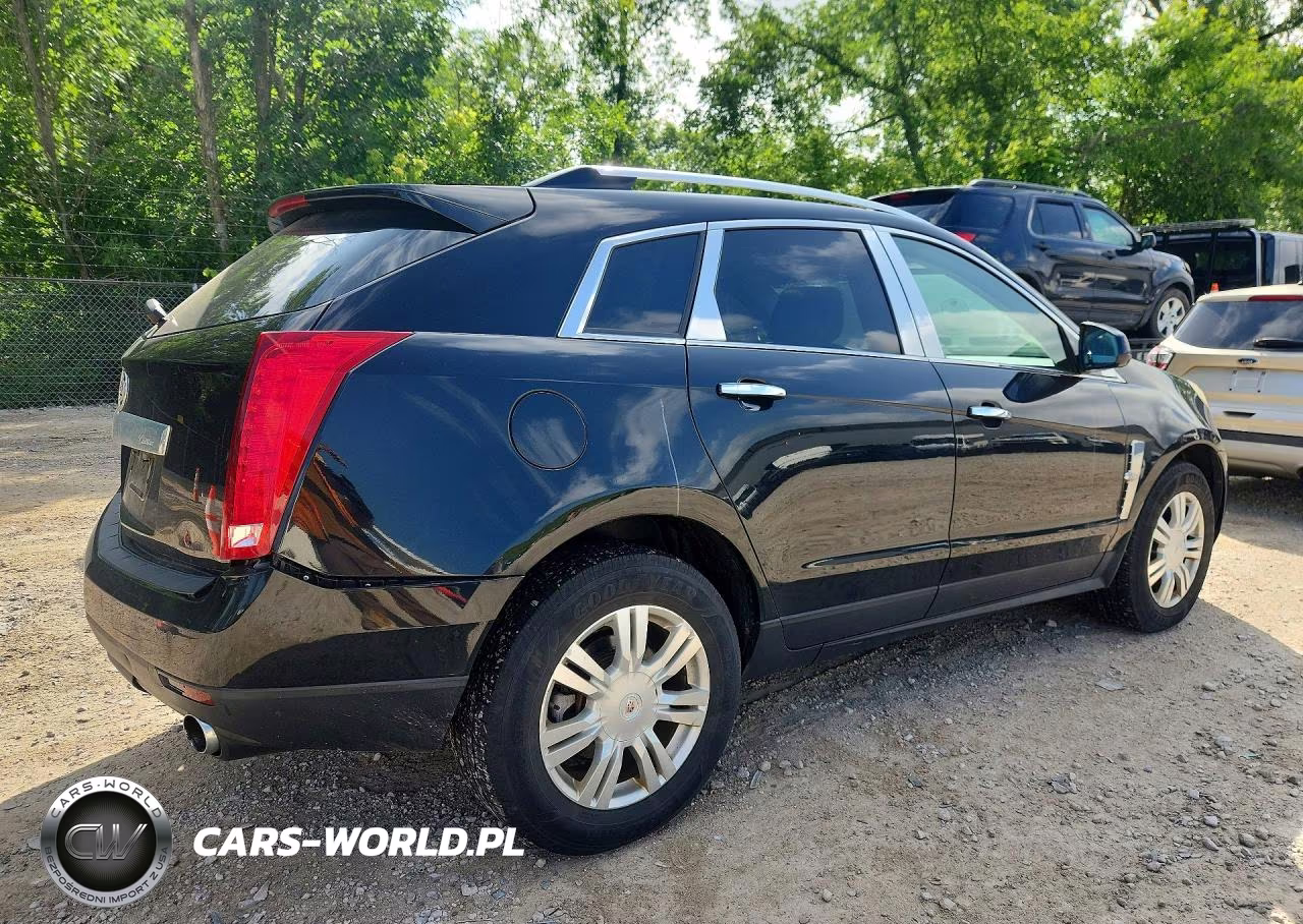 2010 Cadillac Srx Luxury Collection VIN:3GYFNDEY0AS541135 - 3