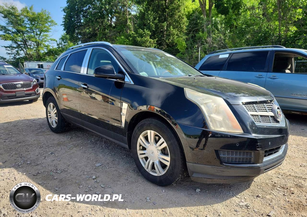 2010 Cadillac Srx Luxury Collection VIN:3GYFNDEY0AS541135 - 4