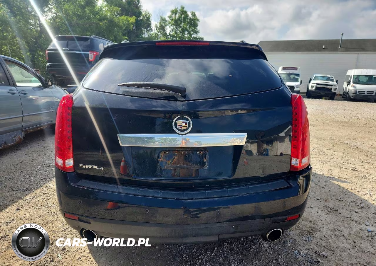 2010 Cadillac Srx Luxury Collection VIN:3GYFNDEY0AS541135 - 6