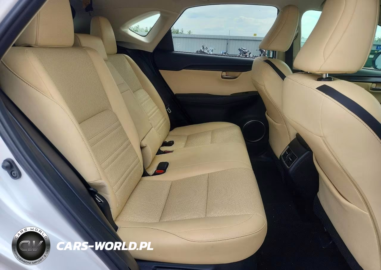 2016 Lexus Nx 200T Base VIN:JTJYARBZ2G2031343 - 10