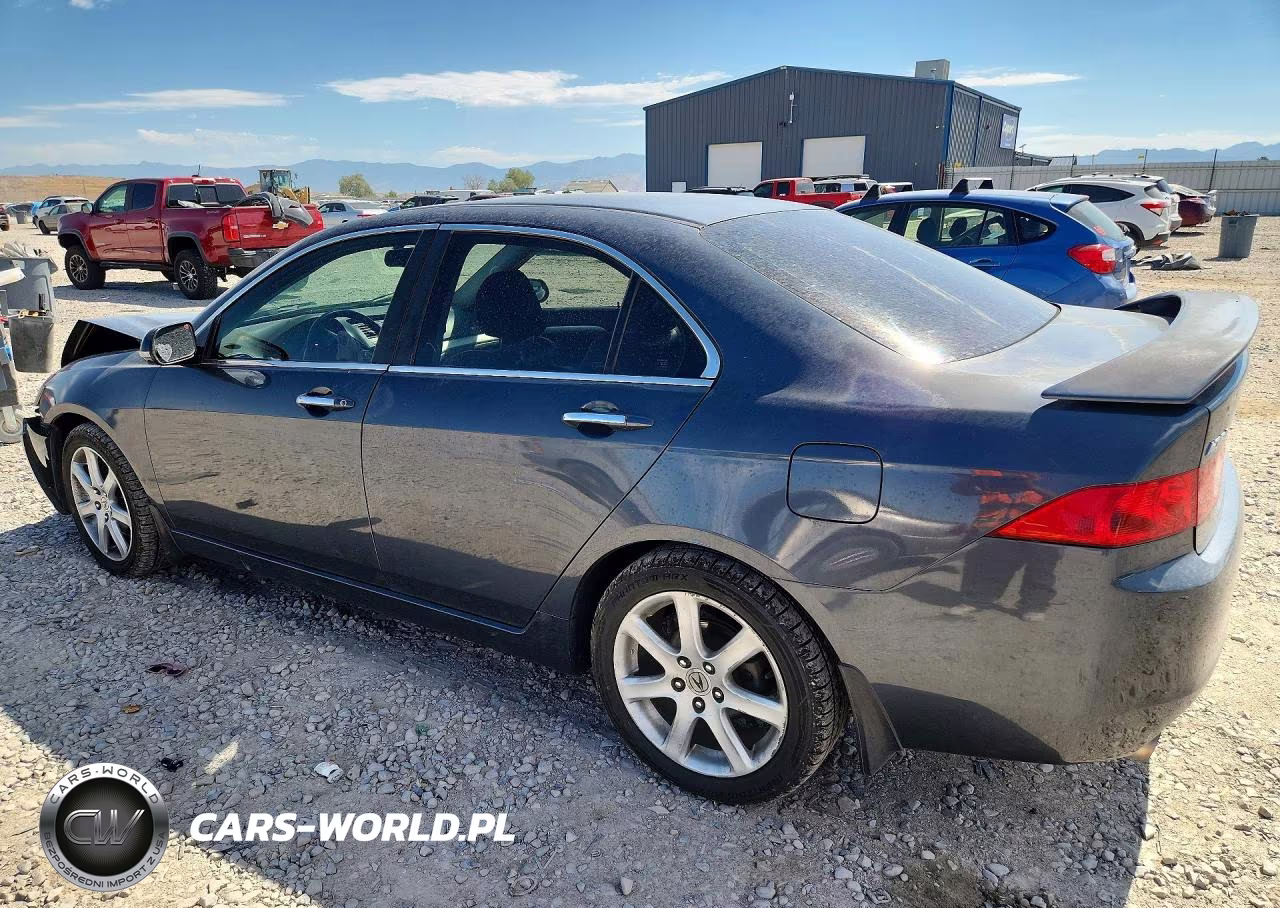 2004 Acura Tsx VIN:JH4CL96854C029485 - 2