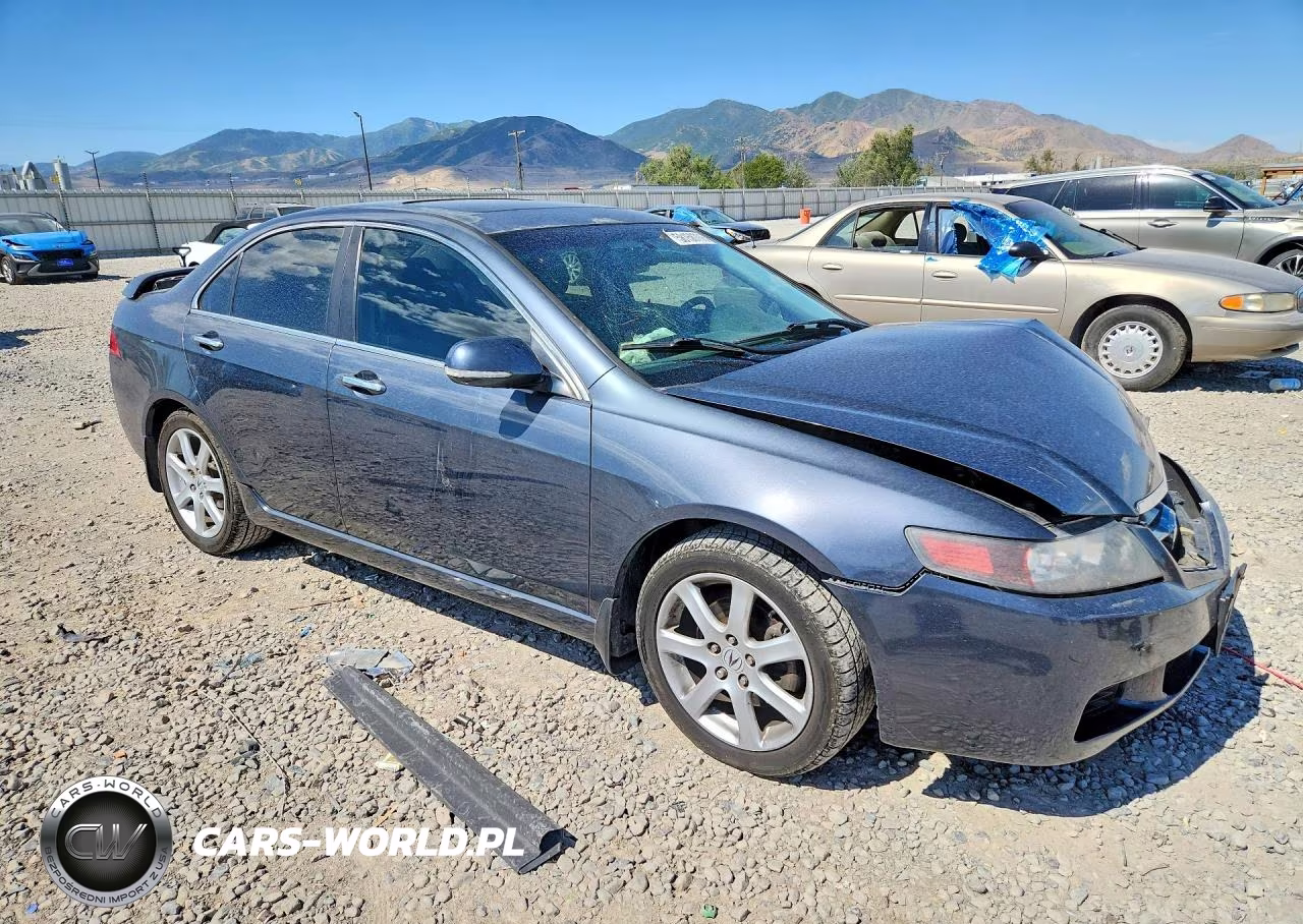 2004 Acura Tsx VIN:JH4CL96854C029485 - 4