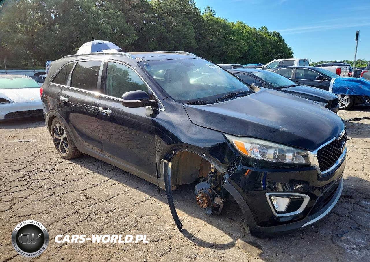 2016 Kia Sorento Ex VIN:5XYPH4A53GG175176 - 4