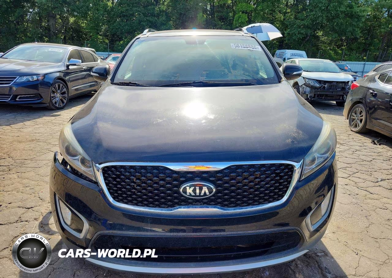 2016 Kia Sorento Ex VIN:5XYPH4A53GG175176 - 5