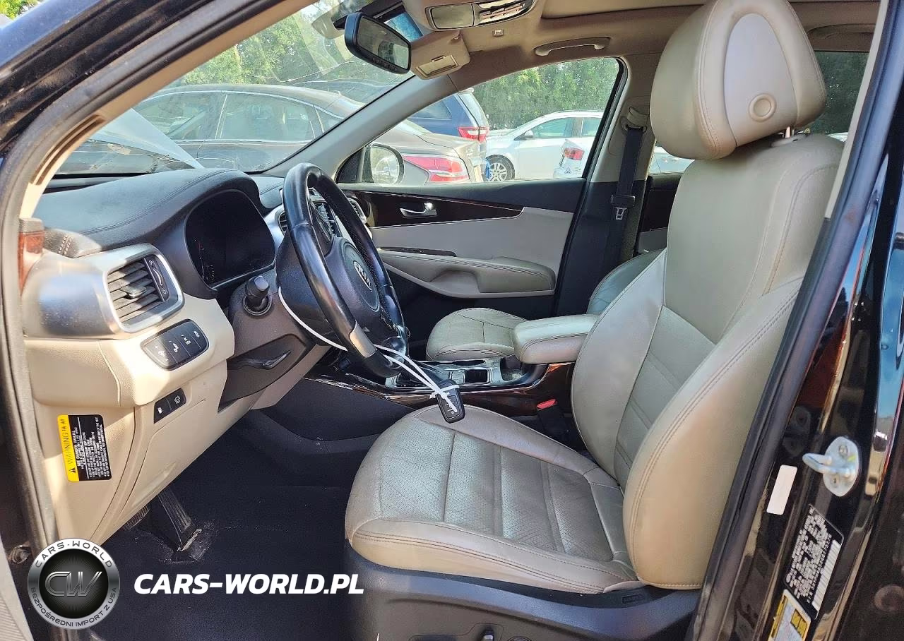 2016 Kia Sorento Ex VIN:5XYPH4A53GG175176 - 7