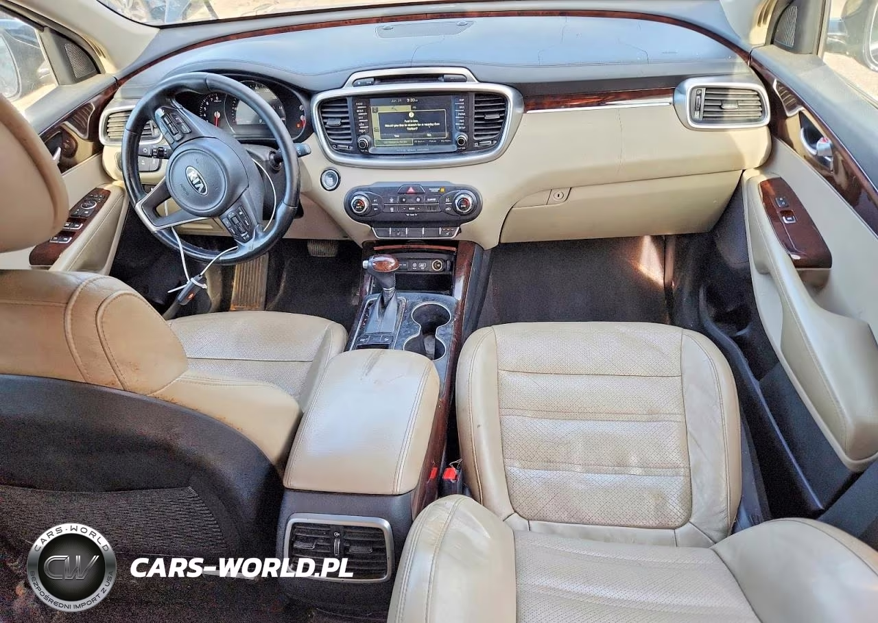 2016 Kia Sorento Ex VIN:5XYPH4A53GG175176 - 8