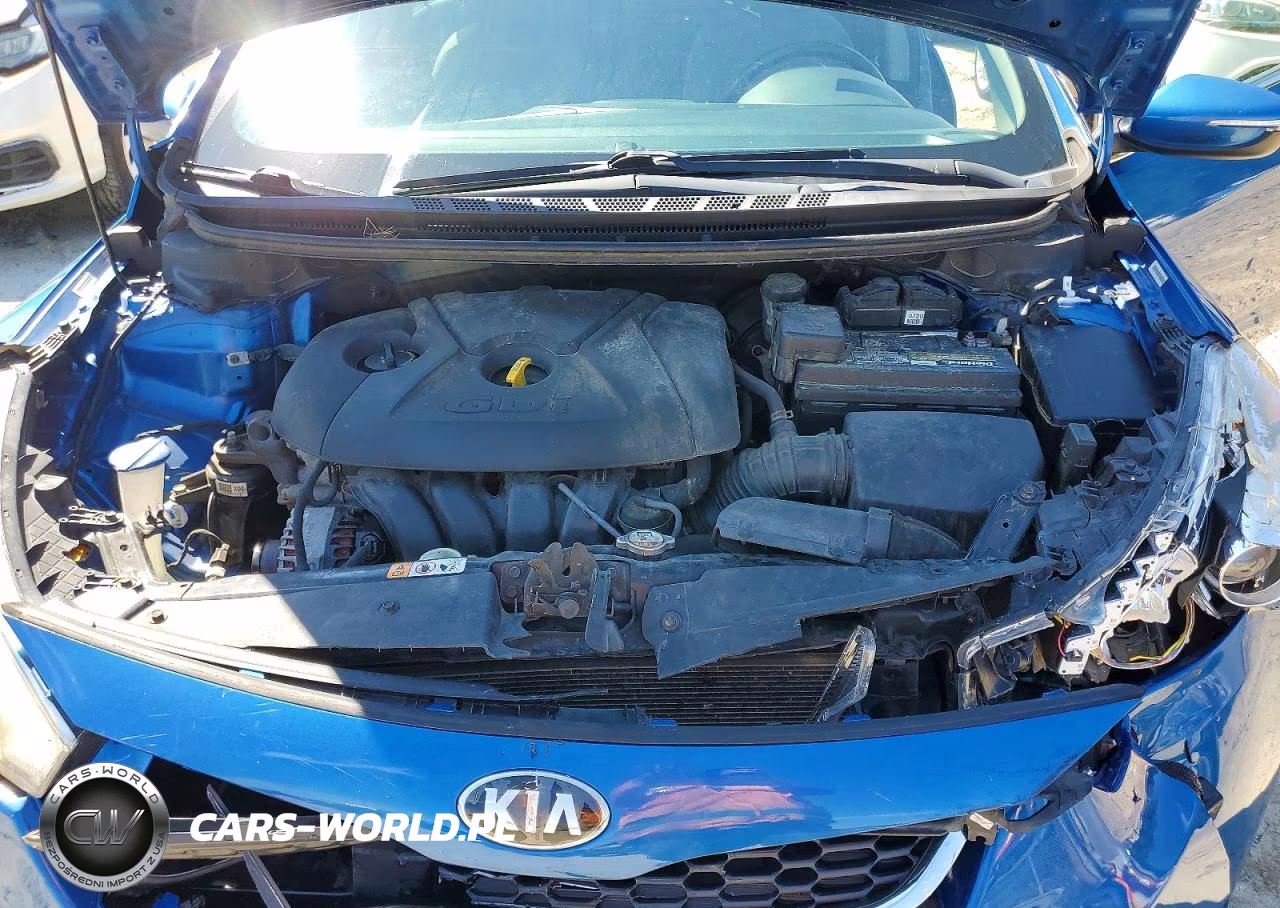 2015 Kia Forte Ex VIN:KNAFX5A85F5348635 - 11