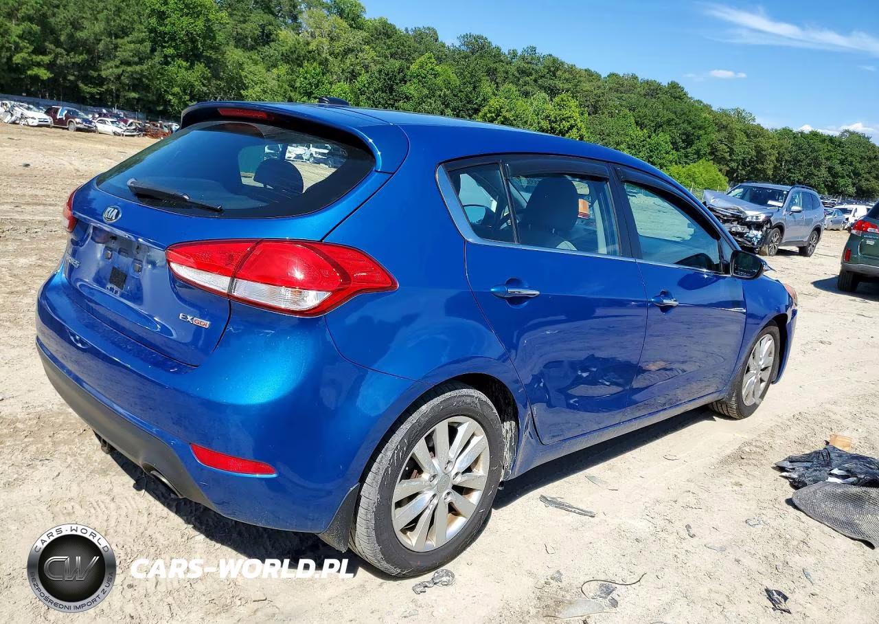 2015 Kia Forte Ex VIN:KNAFX5A85F5348635 - 3