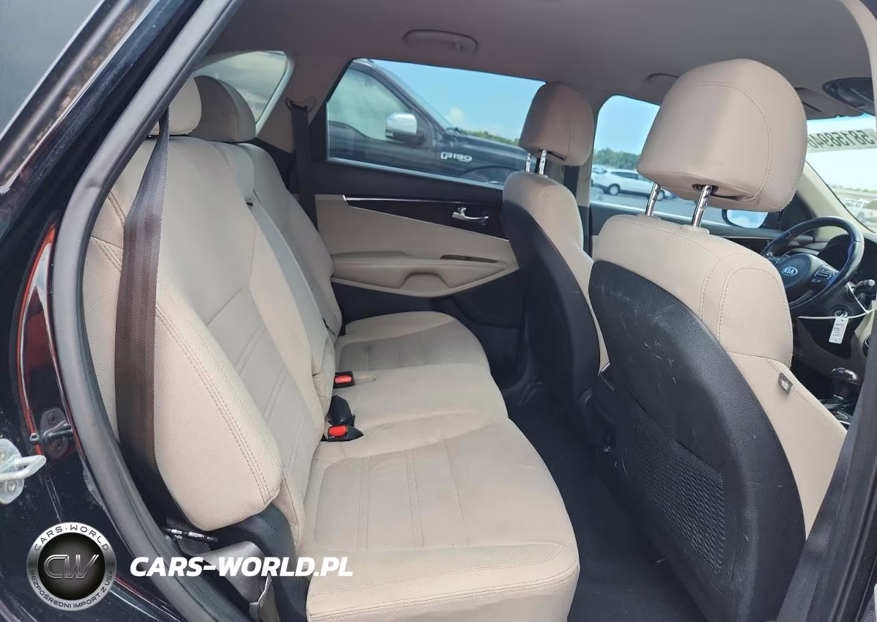 2017 Kia Sorento Lx V6 VIN:5XYPG4A56HG247895 - 10