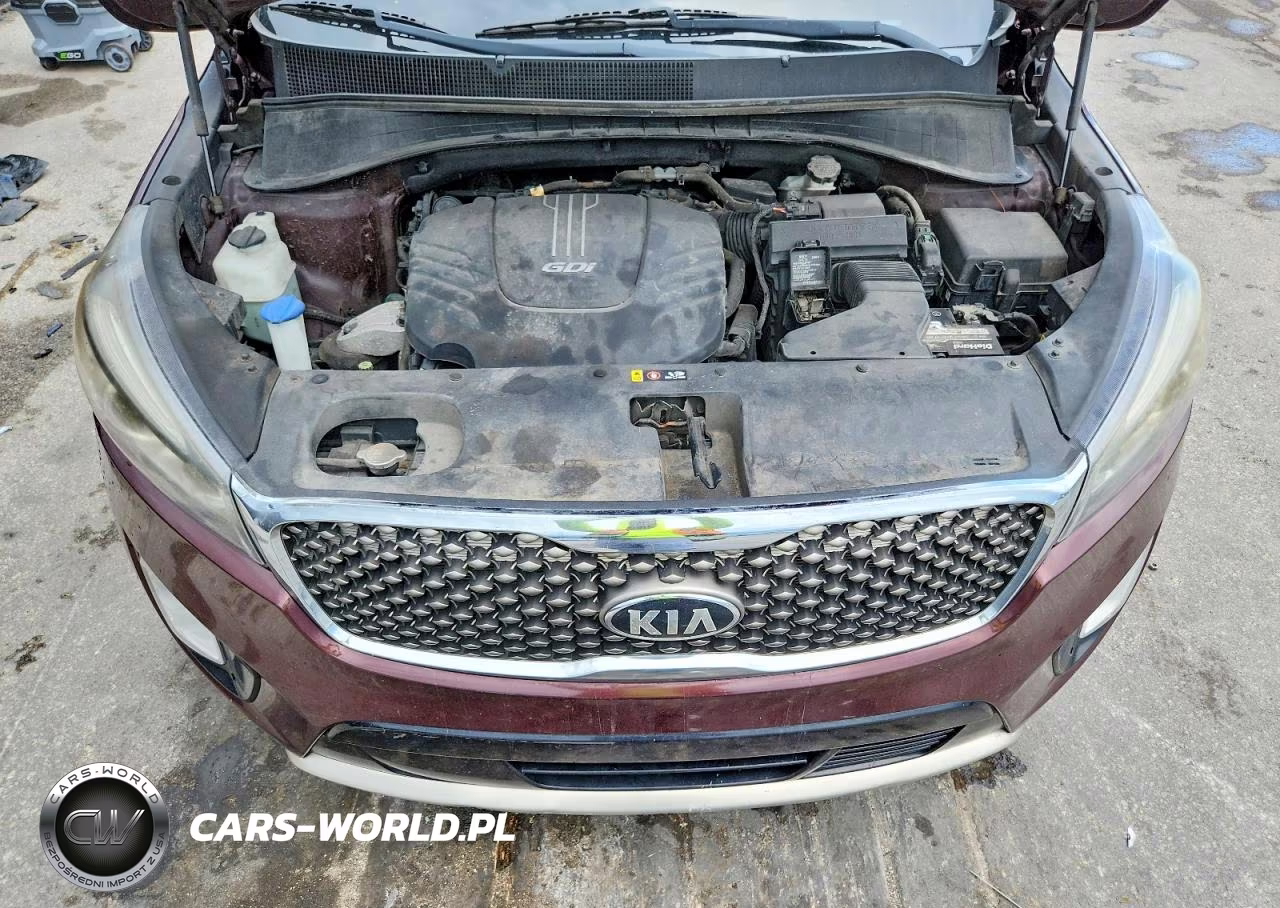 2017 Kia Sorento Sx V6 VIN:5XYPK4A57HG318326 - 12