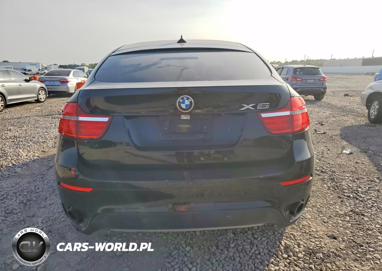 2014 BMW X6 xDrive35I VIN:5UXFG2C57E0H09882 - 6