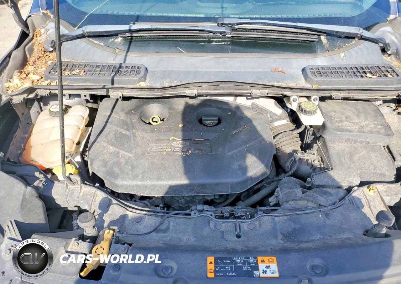 2013 Ford Escape Sel VIN:1FMCU9H90DUB01820 - 12