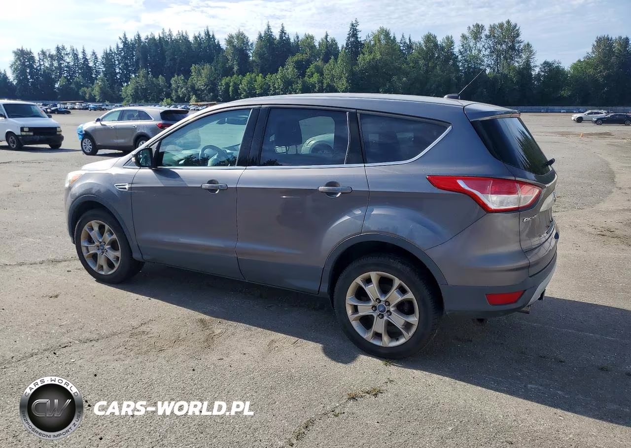 2013 Ford Escape Sel VIN:1FMCU9H90DUB01820 - 2
