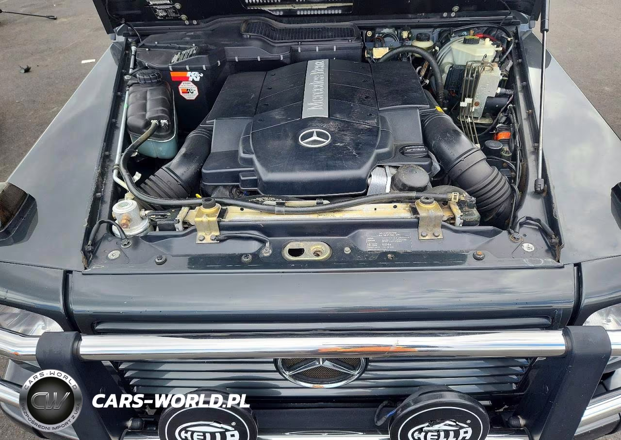 2002 Mercedes-Benz G 500 VIN:WDCYR49EX2X128247 - 11