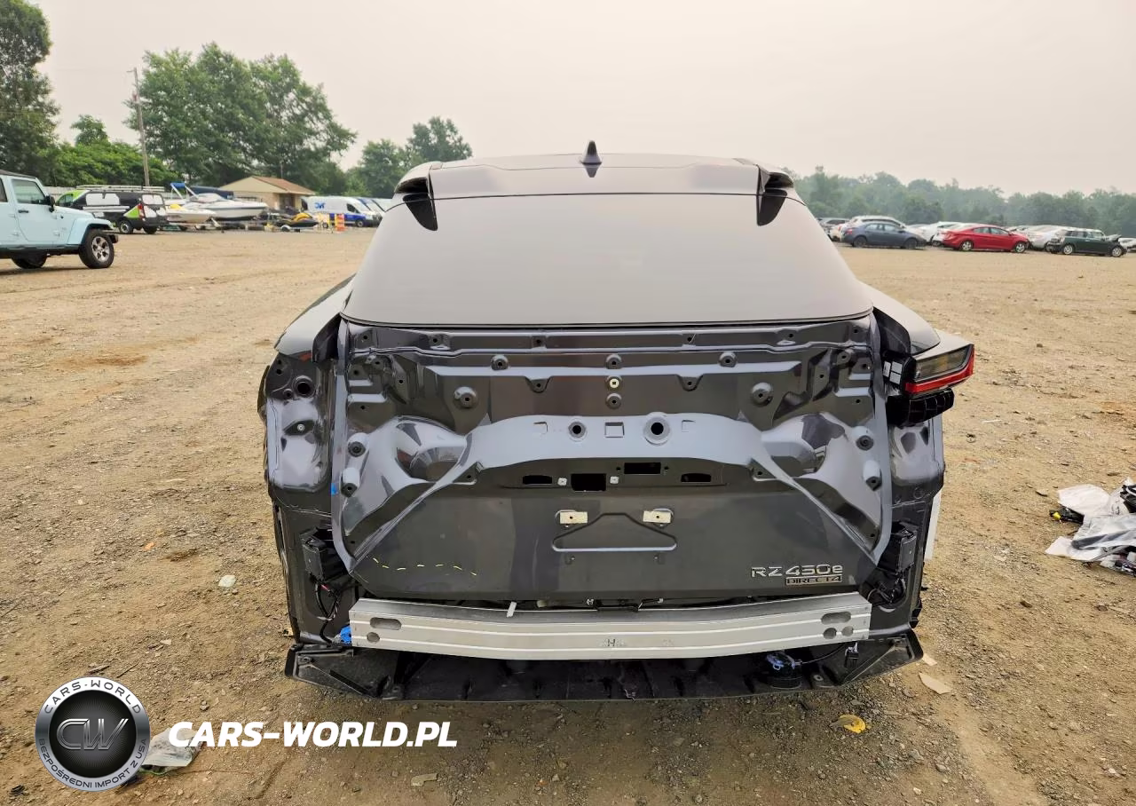 2025 Lexus Rz 450E VIN:JTJAAAAB7SA030422 - 6