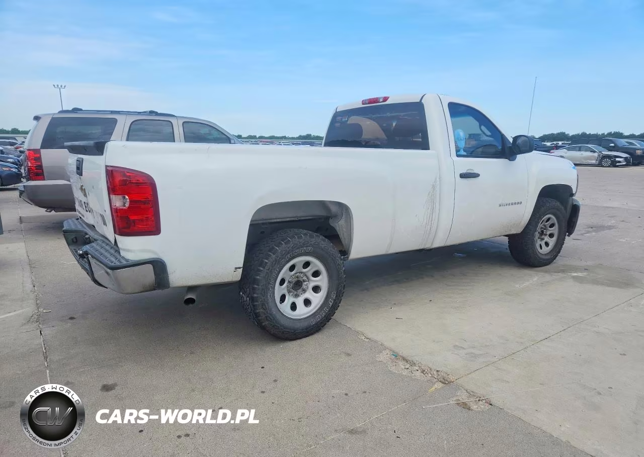 2013 Chevrolet Silverado C1500 VIN:1GCNCPEX1DZ354381 - 3