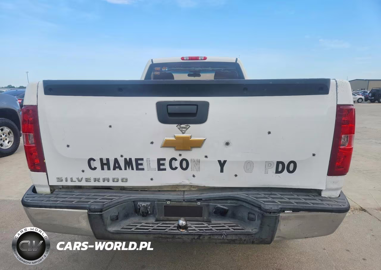 2013 Chevrolet Silverado C1500 VIN:1GCNCPEX1DZ354381 - 6