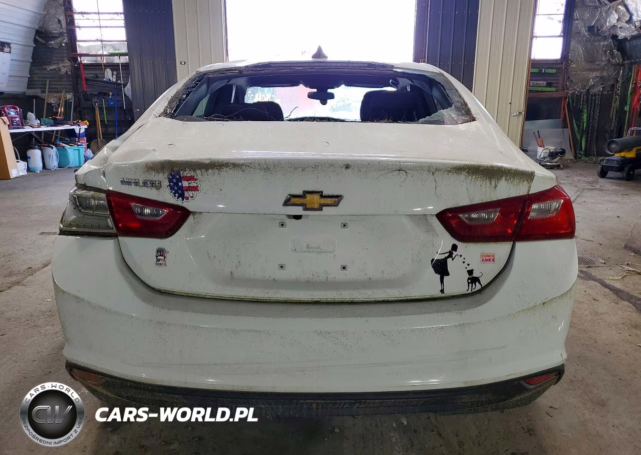 2017 Chevrolet Malibu Ls VIN:1G1ZC5ST7HF171882 - 6