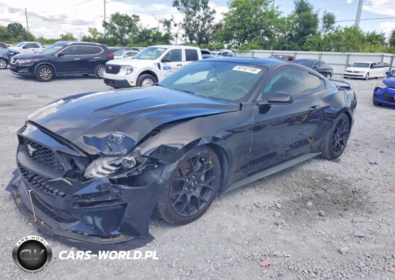 2019 Ford Mustang