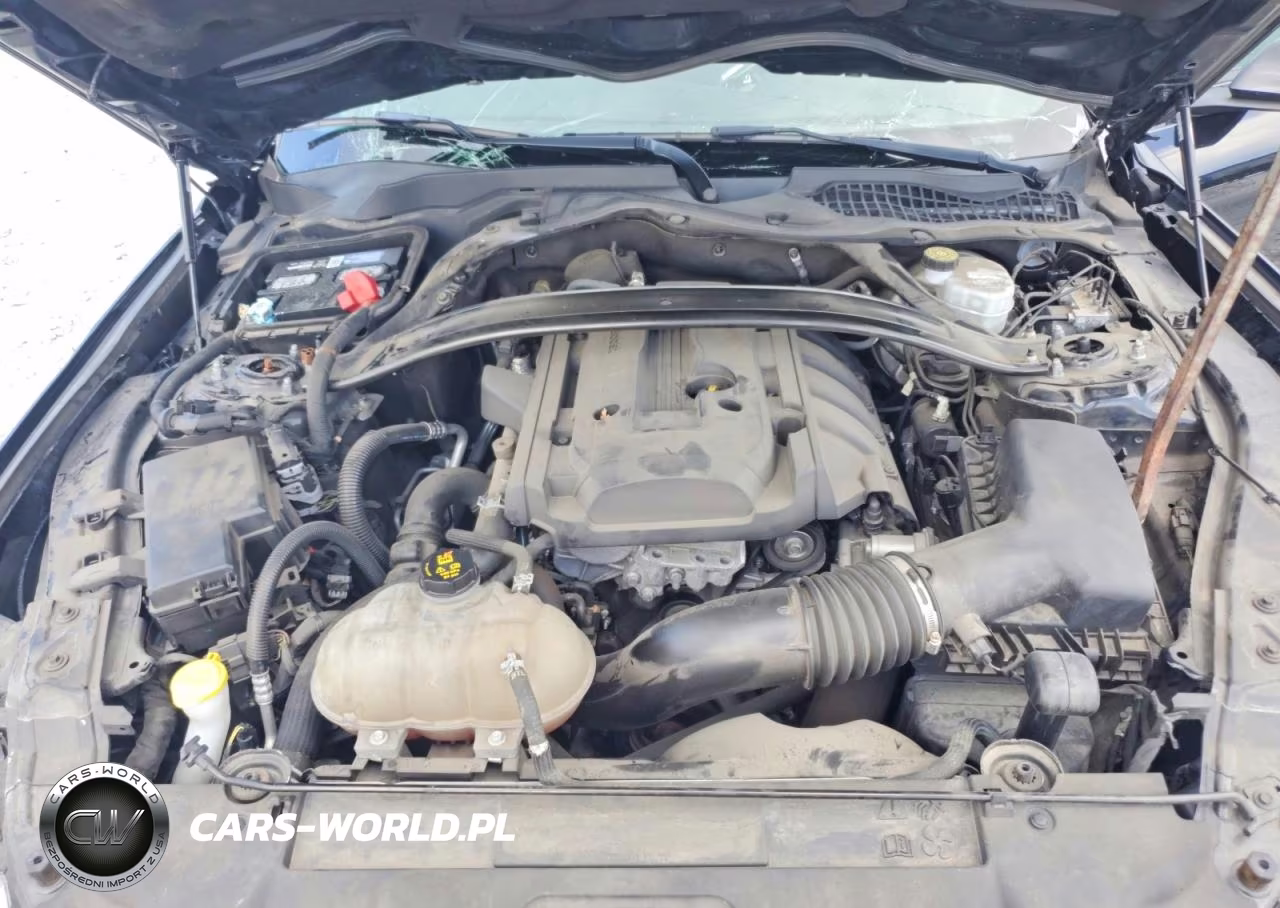 2019 Ford Mustang VIN:1FA6P8TH5K5119213 - 11