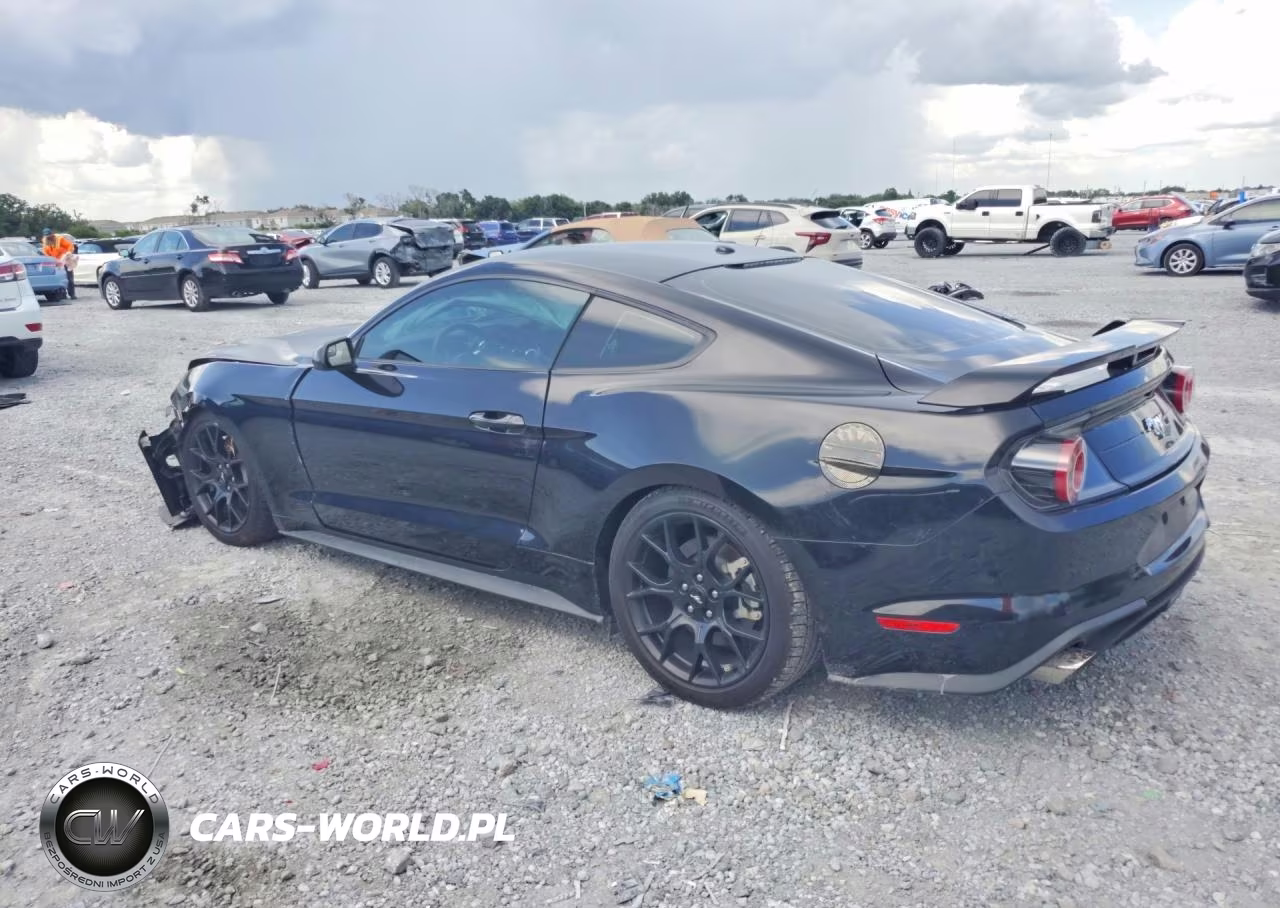 2019 Ford Mustang VIN:1FA6P8TH5K5119213 - 2