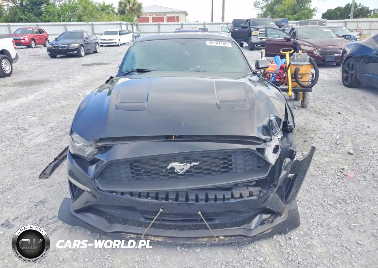 2019 Ford Mustang VIN:1FA6P8TH5K5119213 - 5
