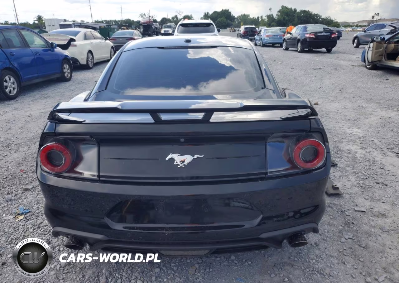 2019 Ford Mustang VIN:1FA6P8TH5K5119213 - 6