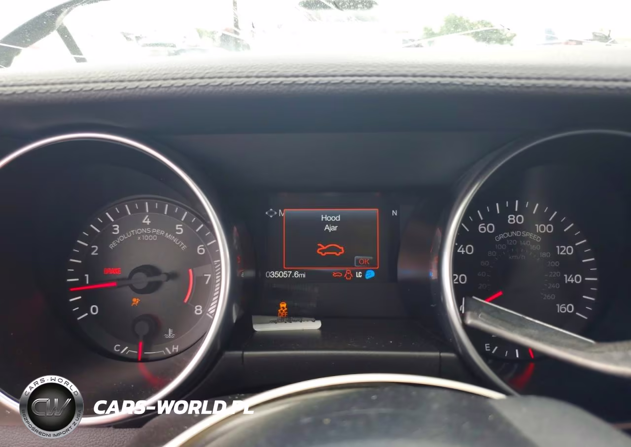 2019 Ford Mustang VIN:1FA6P8TH5K5119213 - 9