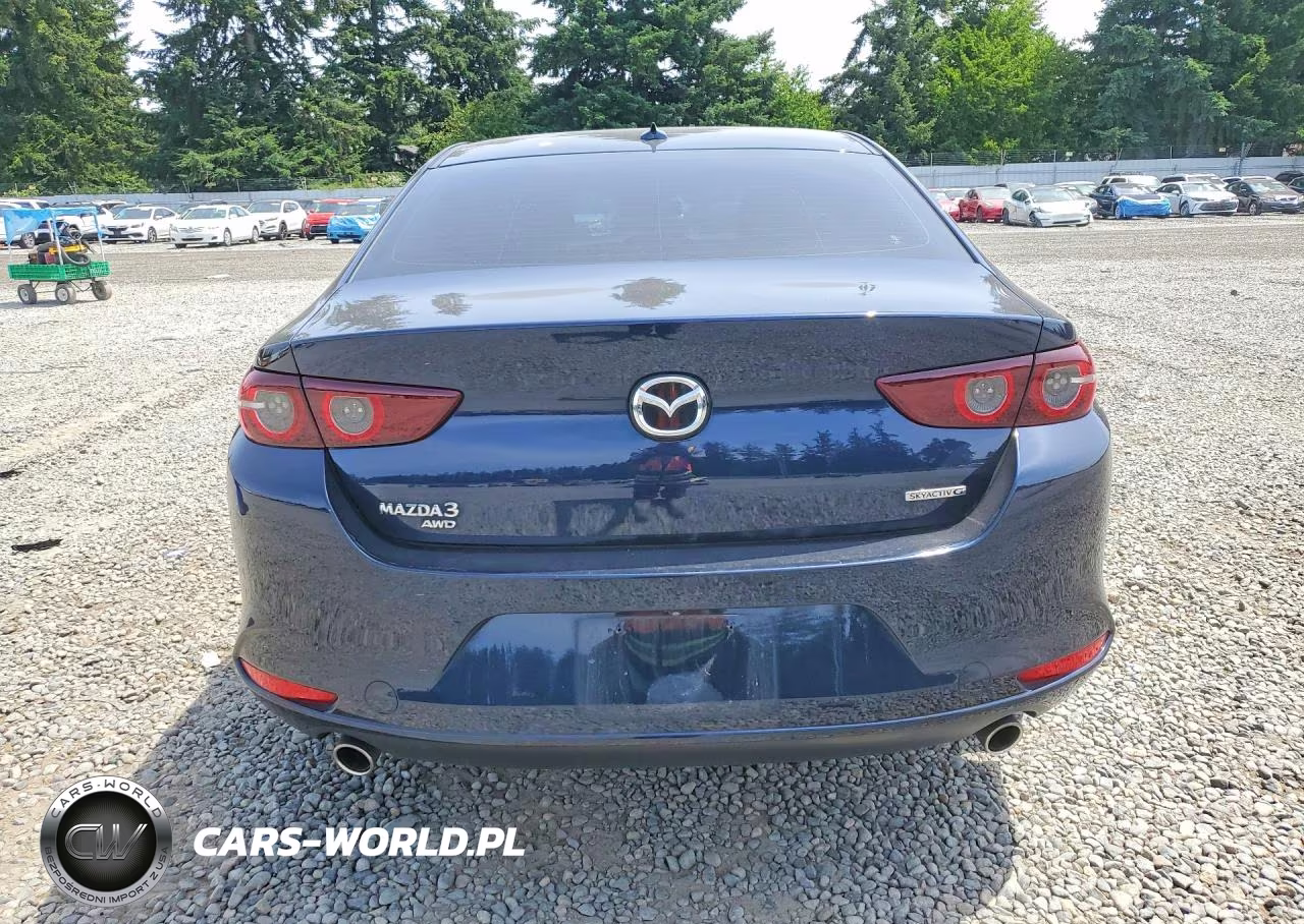 2019 Mazda 3 Premium VIN:JM1BPBEM6K1134410 - 6