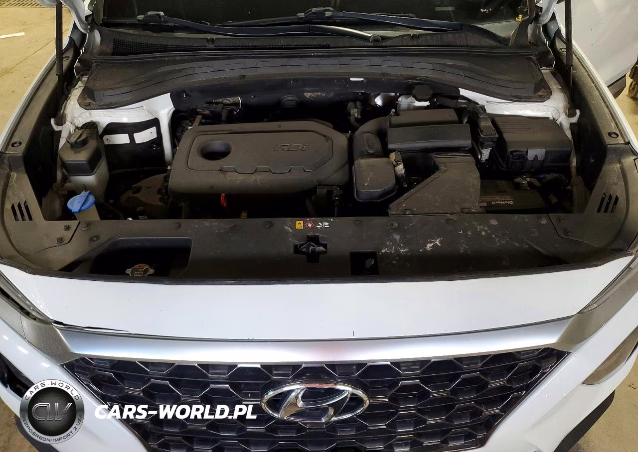 2019 Hyundai Santa Fe Se VIN:5NMS2CAD1KH084290 - 12
