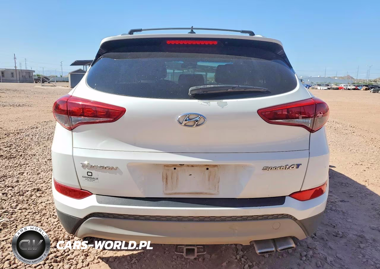 2017 Hyundai Tucson Sport VIN:KM8J33A20HU519045 - 6