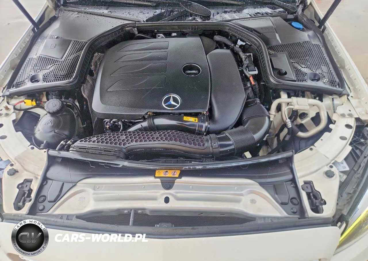 2019 Mercedes-Benz C 300 VIN:55SWF8DB8KU293989 - 11