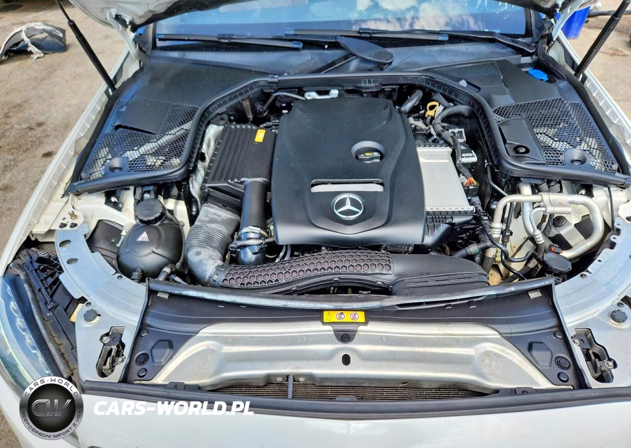 2017 Mercedes-Benz C 300 VIN:55SWF4JB8HU226539 - 11