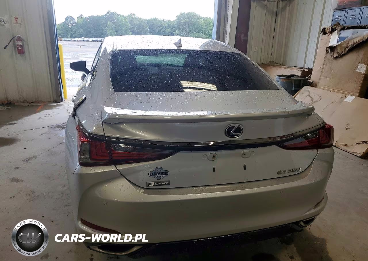 2019 Lexus Es 350 VIN:58ABZ1B18KU038487 - 6