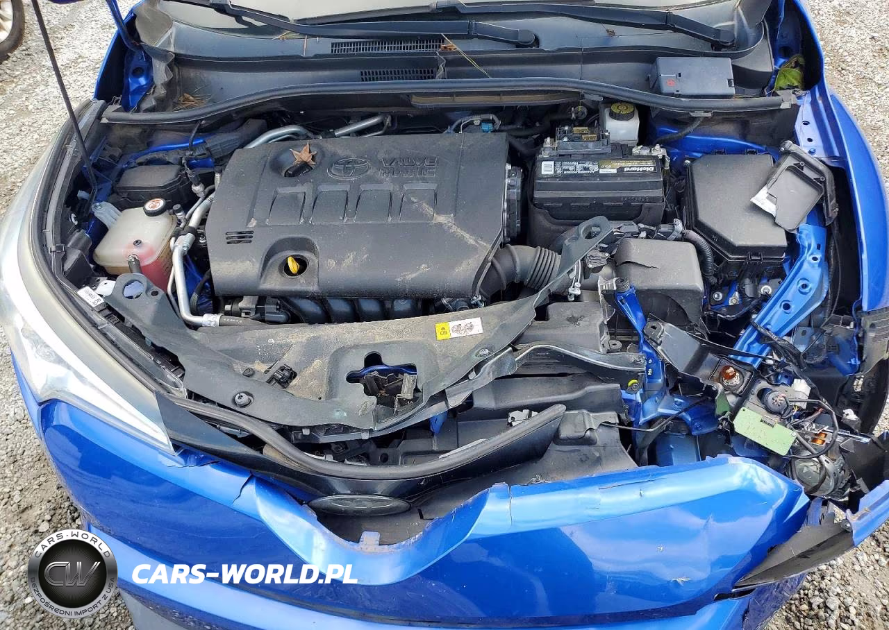 2019 Toyota C-Hr Le VIN:NMTKHMBX0KR098979 - 11