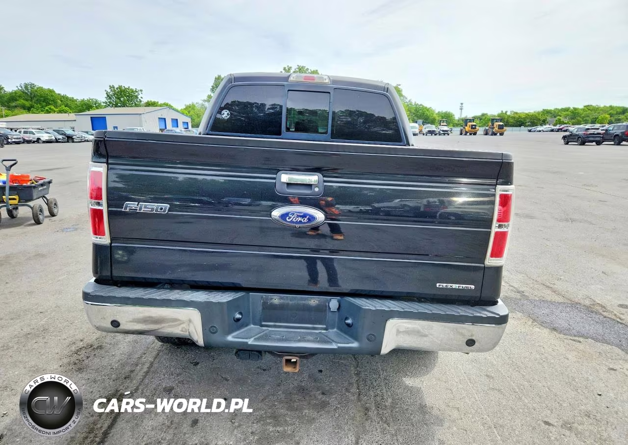 2014 Ford F150 Supercrew VIN:1FTFW1EF5EFC88808 - 6