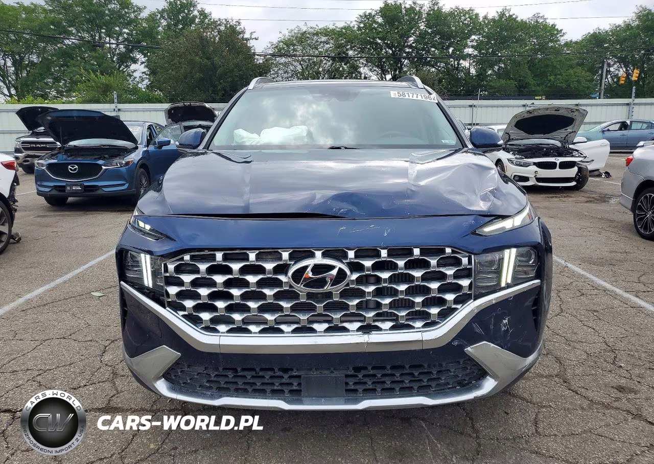 2021 Hyundai Santa Fe Limited VIN:5NMS44AL2MH320746 - 5