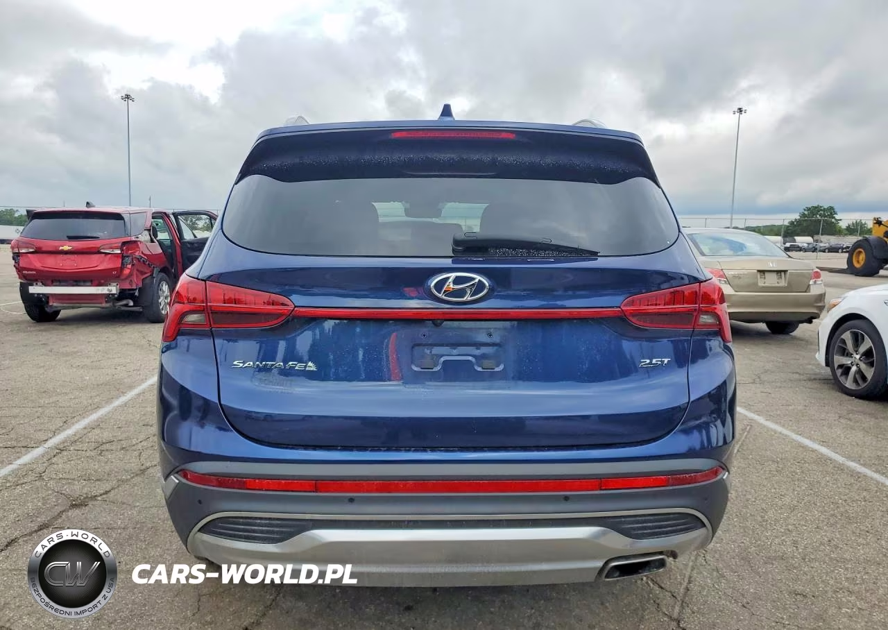 2021 Hyundai Santa Fe Limited VIN:5NMS44AL2MH320746 - 6