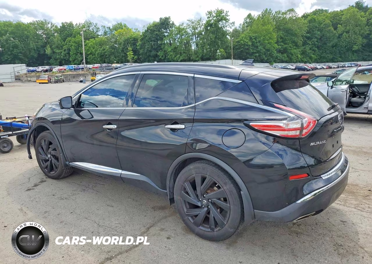 2017 Nissan Murano Platinum VIN:5N1AZ2MH5HN163095 - 2