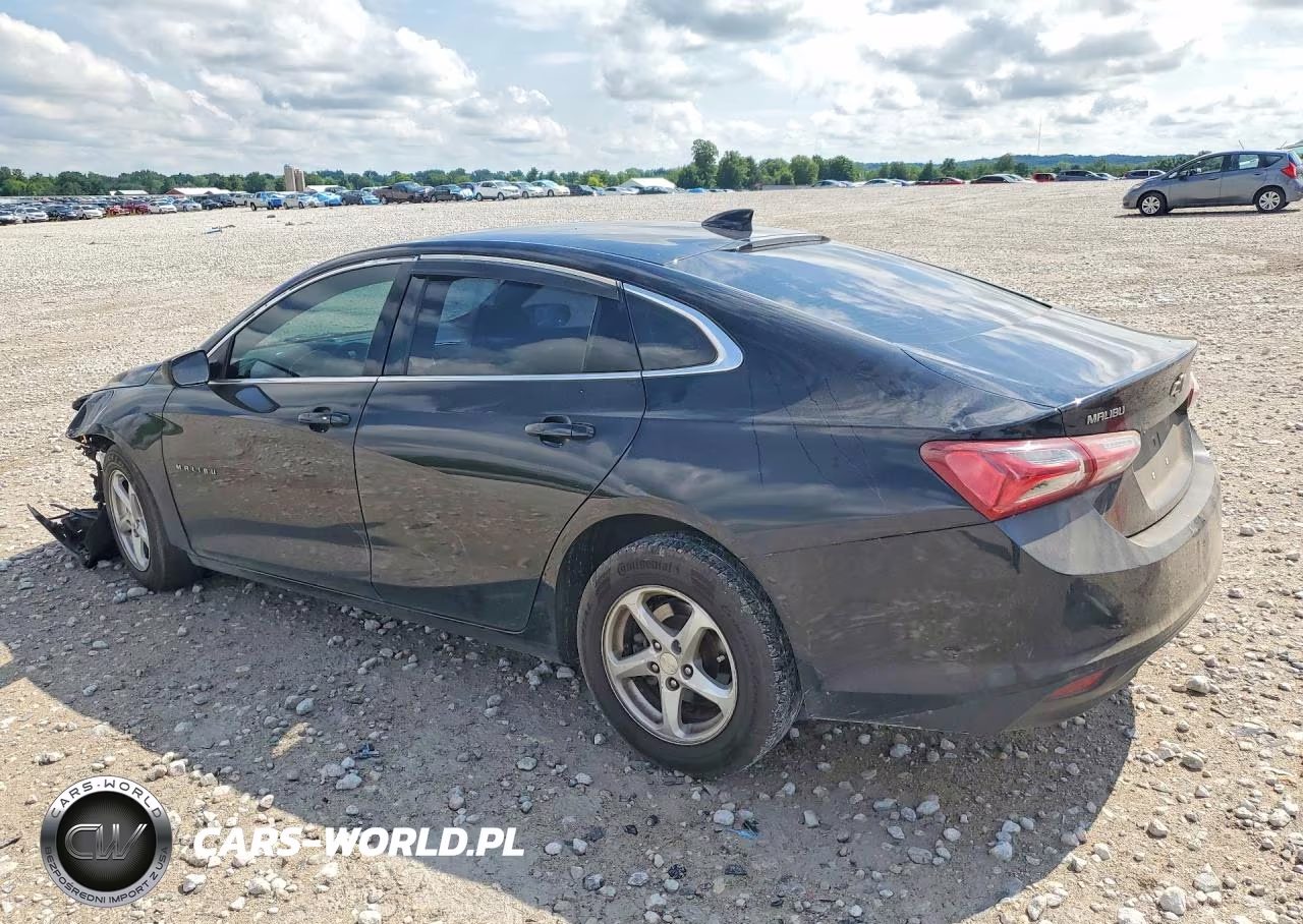 2019 Chevrolet Malibu Lt VIN:1G1ZD5ST6KF221501 - 2