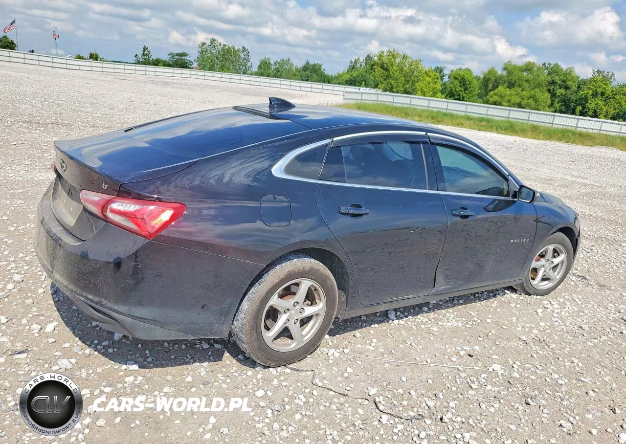 2019 Chevrolet Malibu Lt VIN:1G1ZD5ST6KF221501 - 3