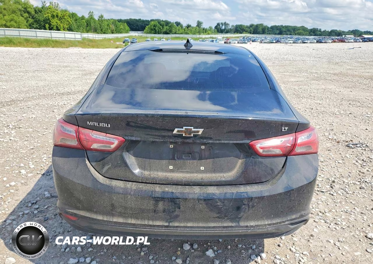 2019 Chevrolet Malibu Lt VIN:1G1ZD5ST6KF221501 - 6