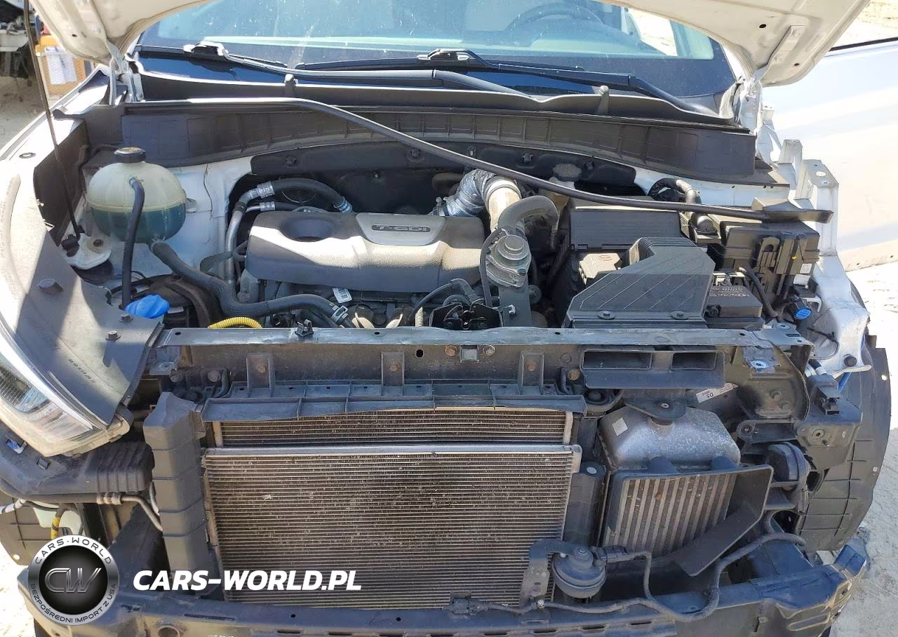 2017 Hyundai Tucson Eco VIN:KM8J3CA20HU285411 - 12