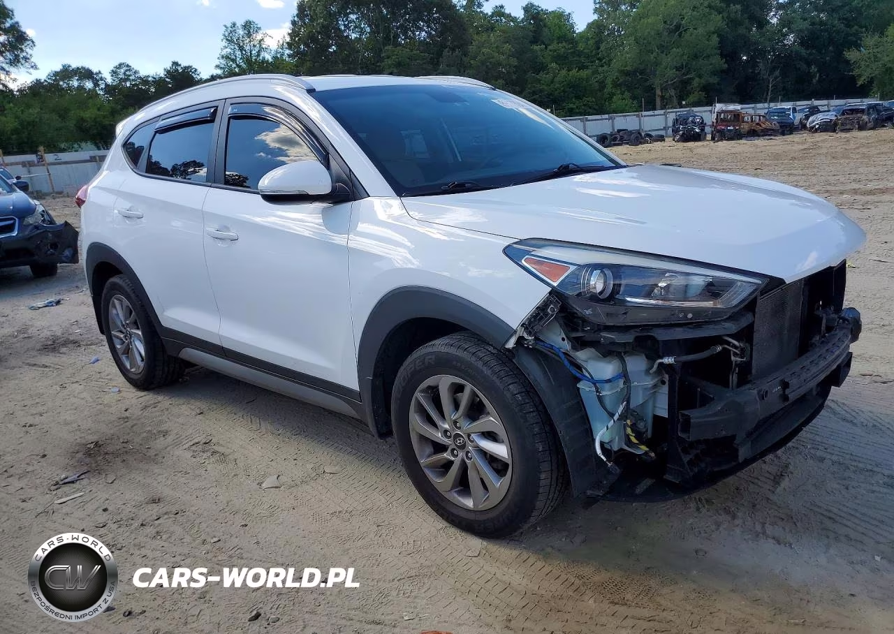 2017 Hyundai Tucson Eco VIN:KM8J3CA20HU285411 - 4