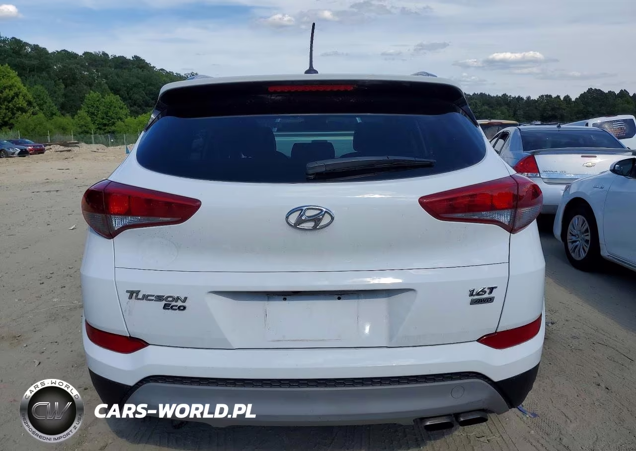 2017 Hyundai Tucson Eco VIN:KM8J3CA20HU285411 - 6
