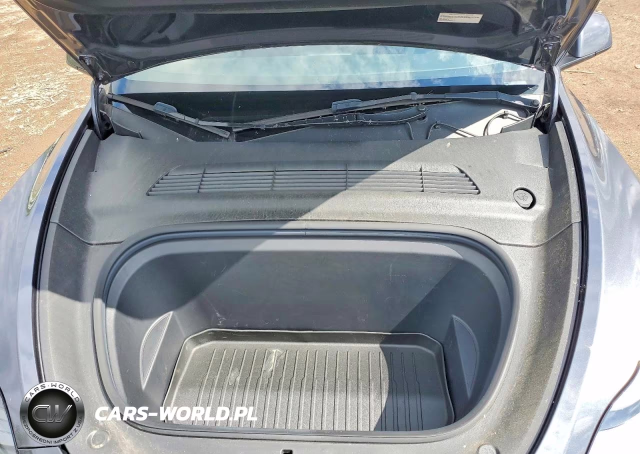 2023 Tesla Model Y VIN:7SAYGDEEXPF668476 - 11