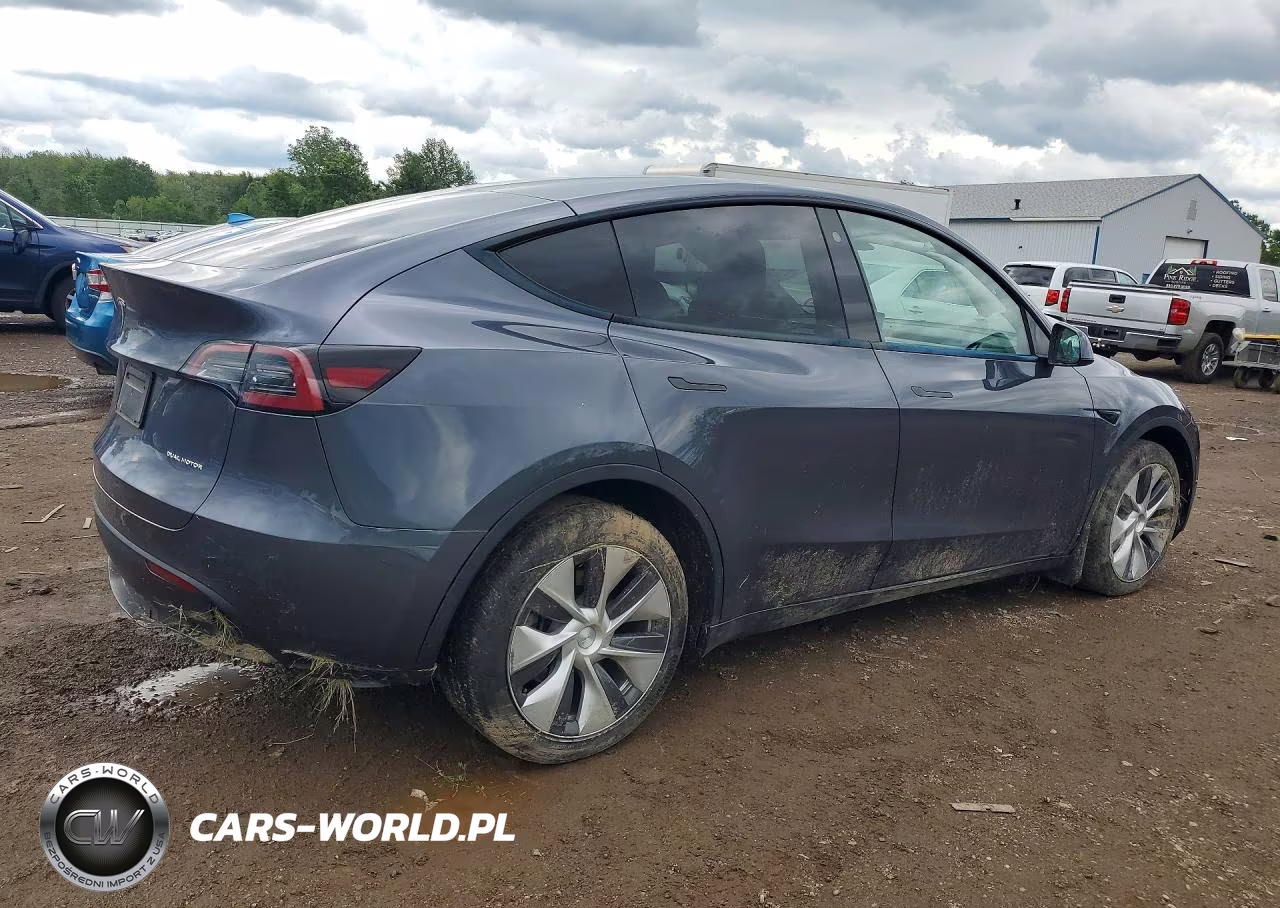 2023 Tesla Model Y VIN:7SAYGDEEXPF668476 - 3