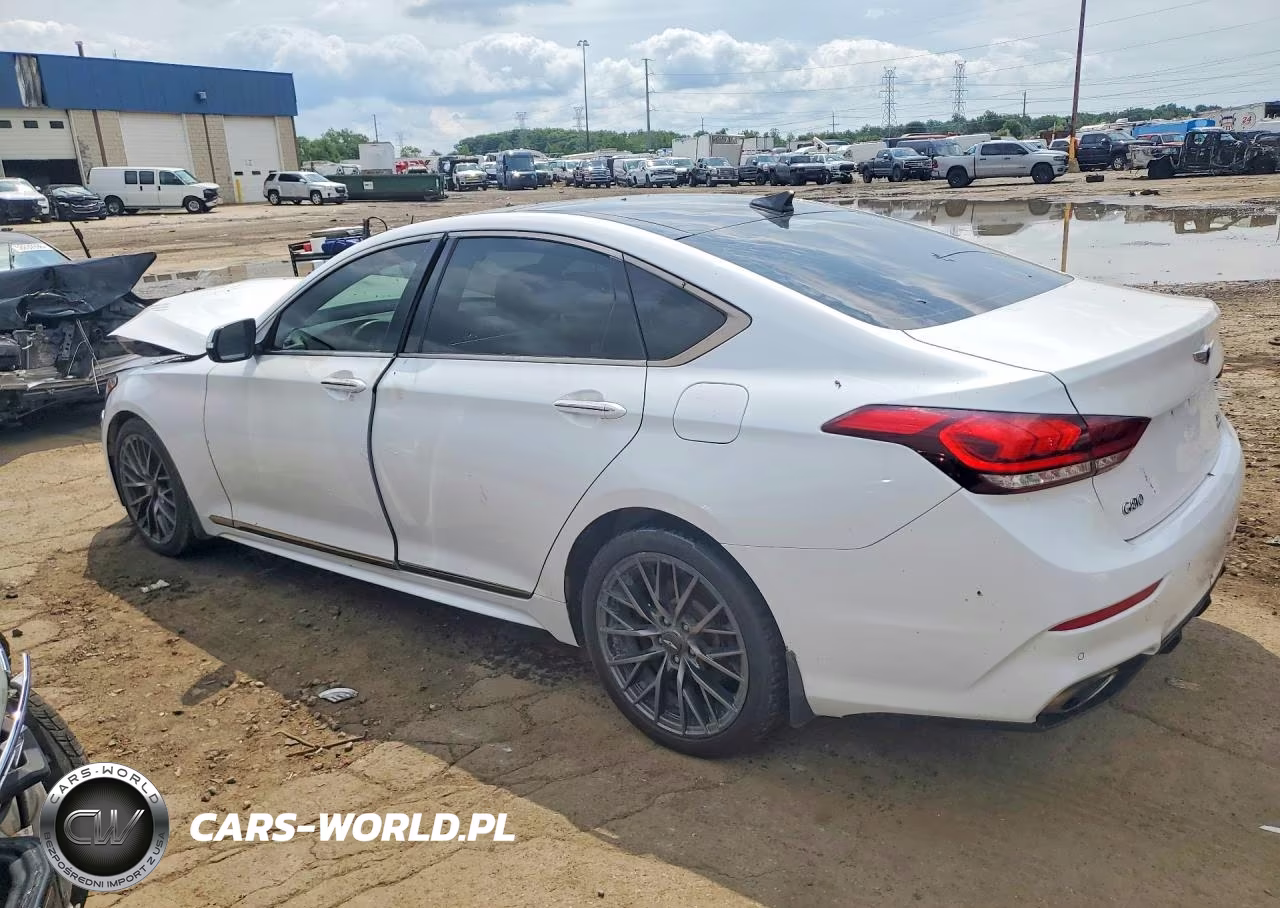 2019 Genesis G80 3.8 VIN:KMHGN4JEXKU287355 - 2