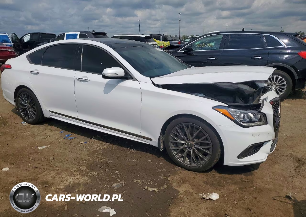 2019 Genesis G80 3.8 VIN:KMHGN4JEXKU287355 - 4