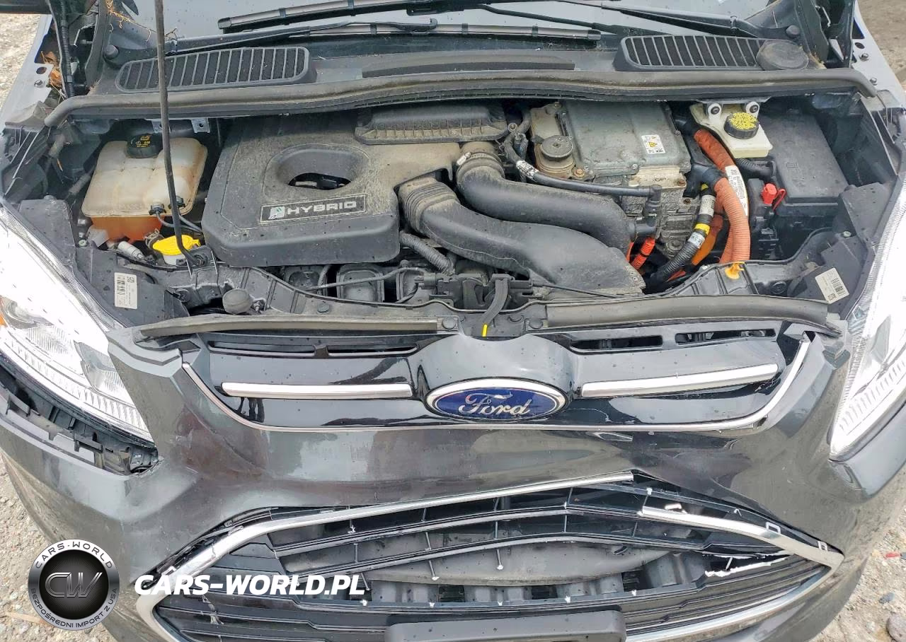 2017 Ford C-Max Se VIN:1FADP5AUXHL100599 - 12